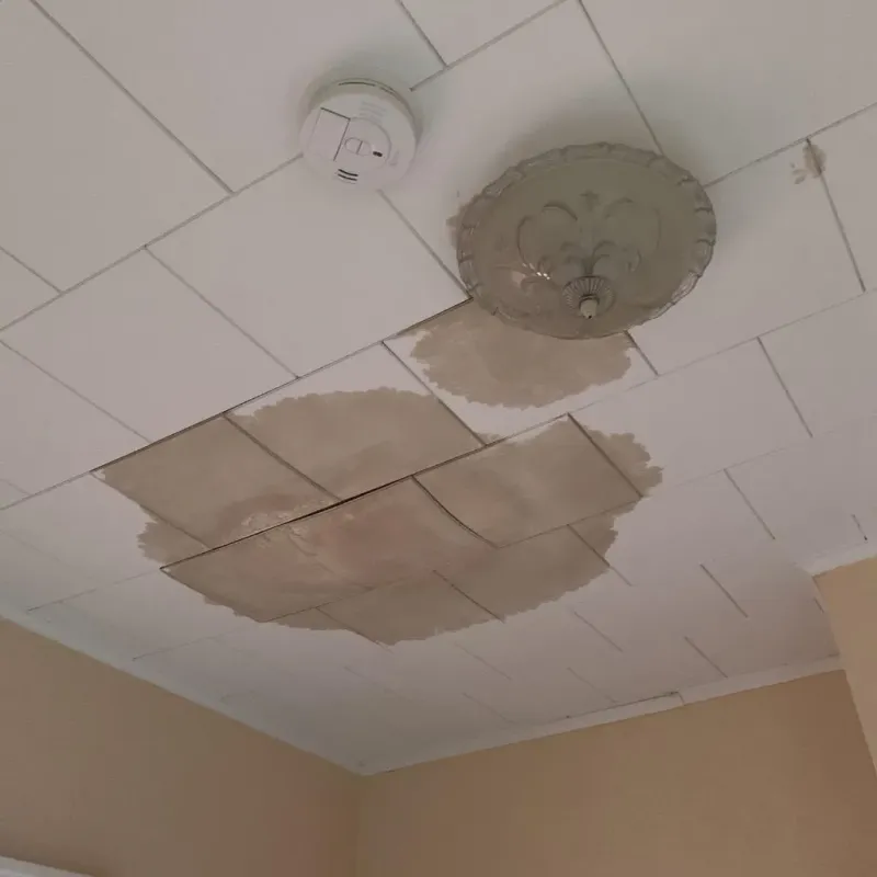 Ceiling Water Damage Repair in White Haven, PA