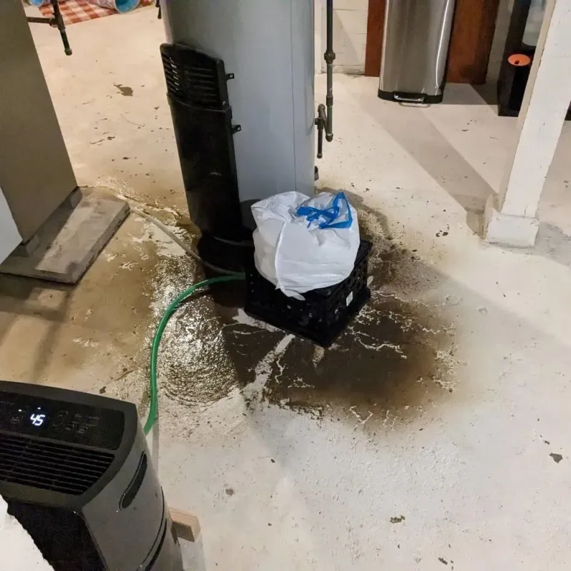 Sewage Backup Cleanup Service in White Haven, PA